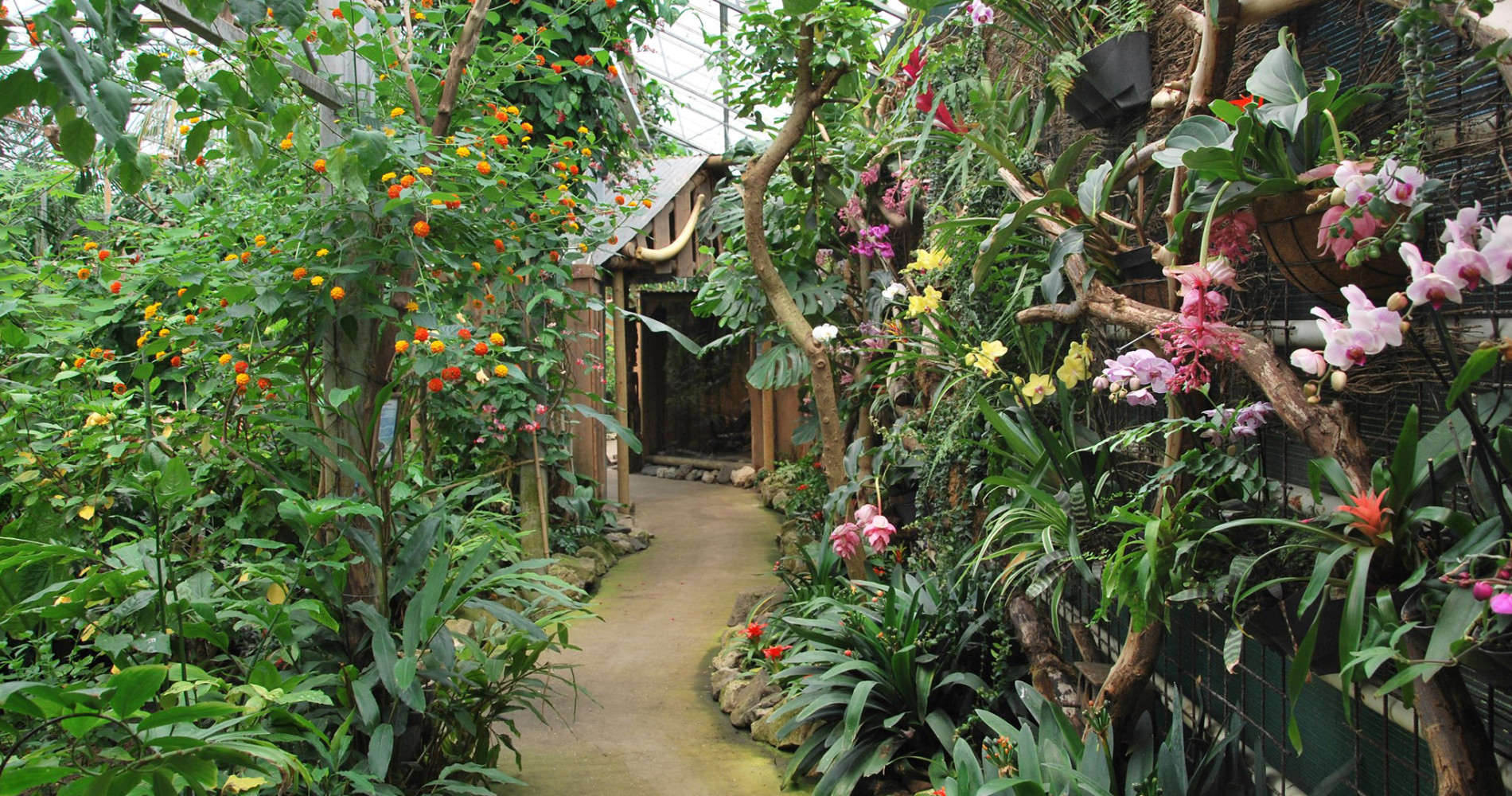 berkenhof tropical zoo restaurant