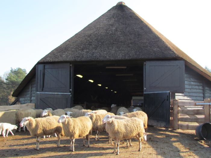 bezoekerscentrum ermelosche heide met de schaapskooi