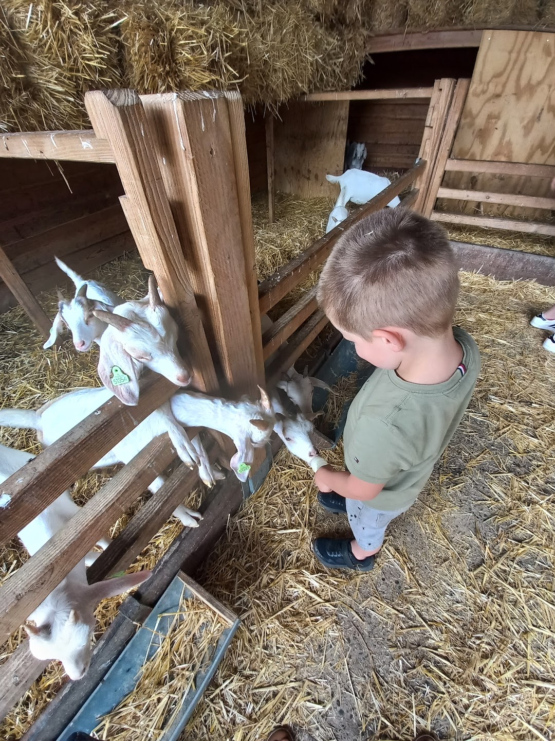 Boerderij 't Geertje