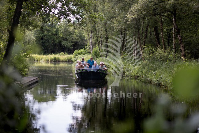 nationaal park de biesbosch