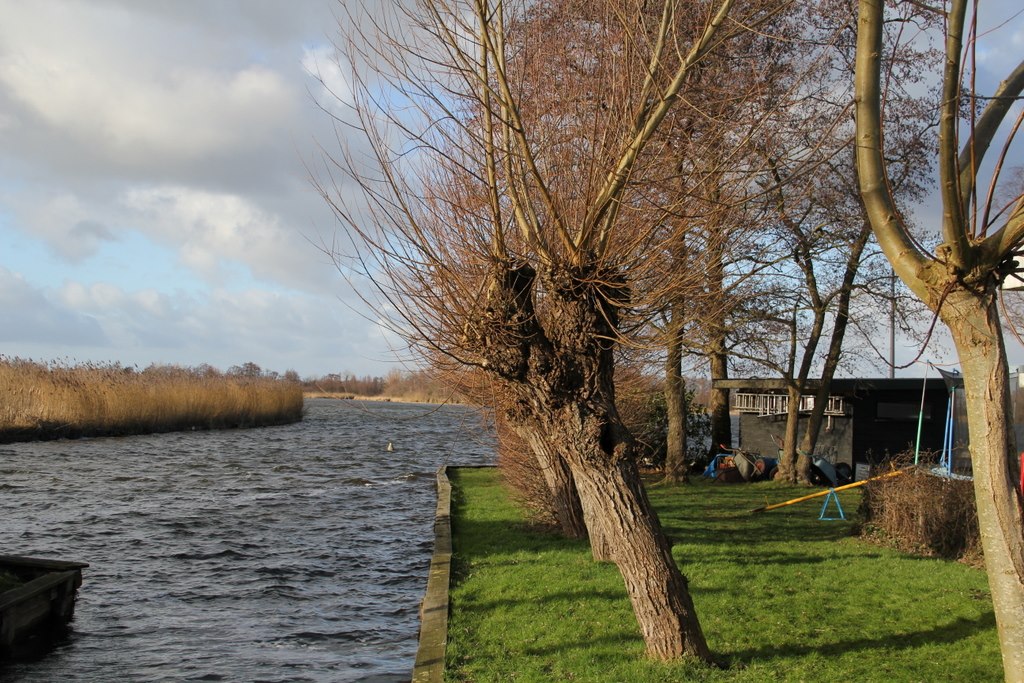 recreatie en watersportvereniging zomers buiten