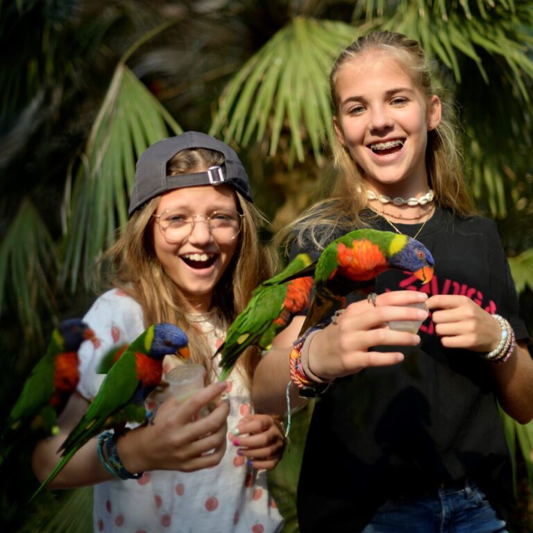 vogelpark avifauna