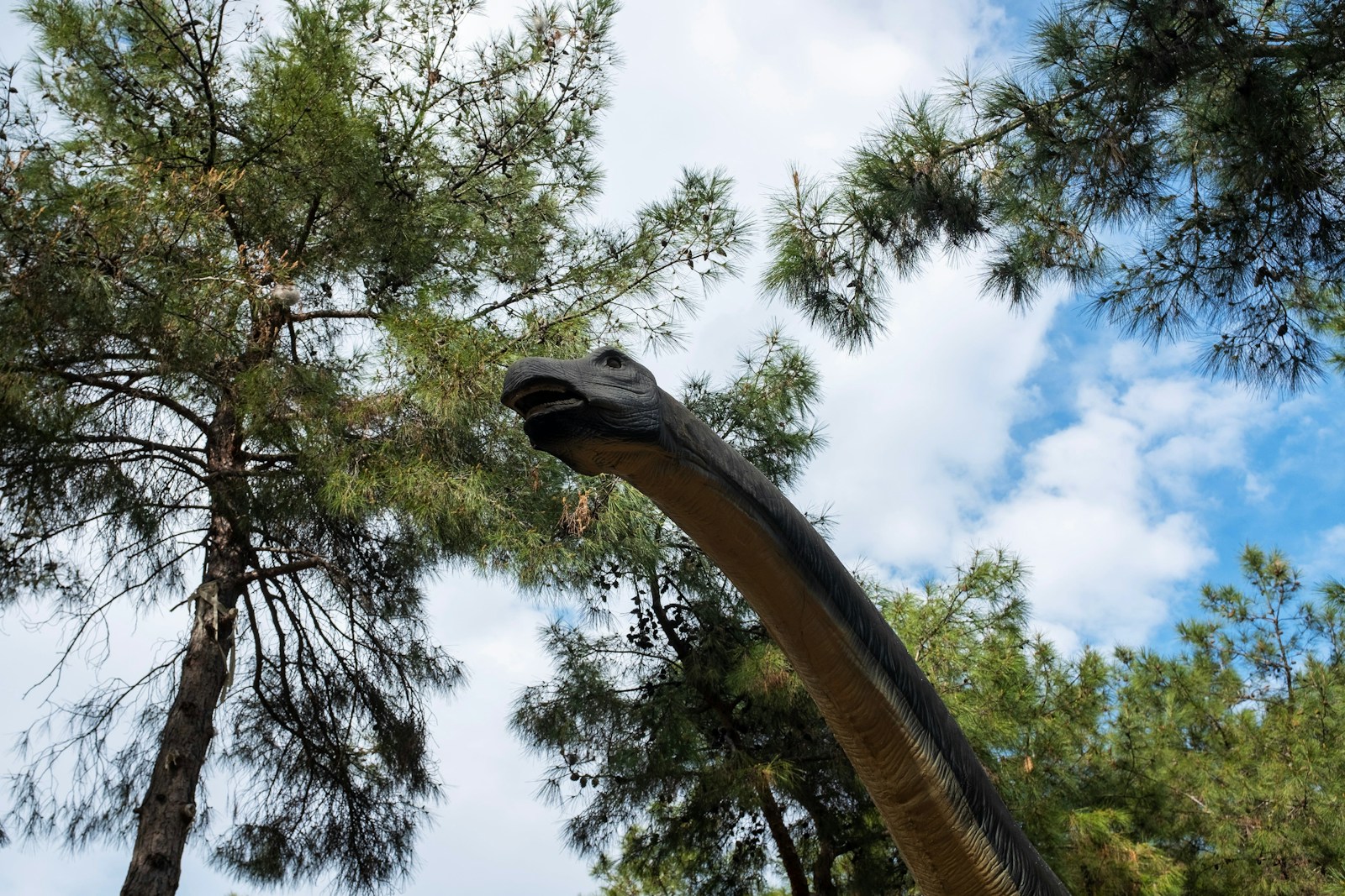 dinoland zwolle