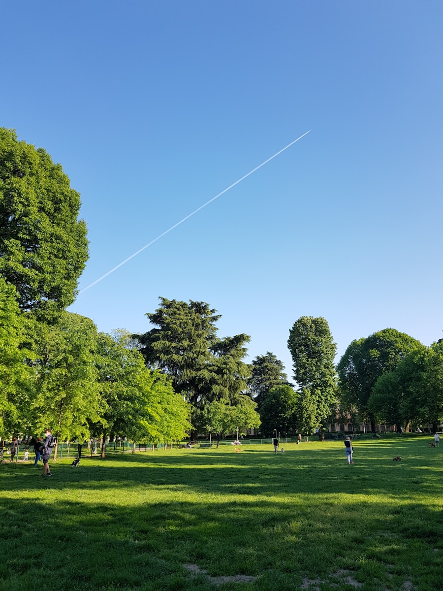 park de wezenlanden 1