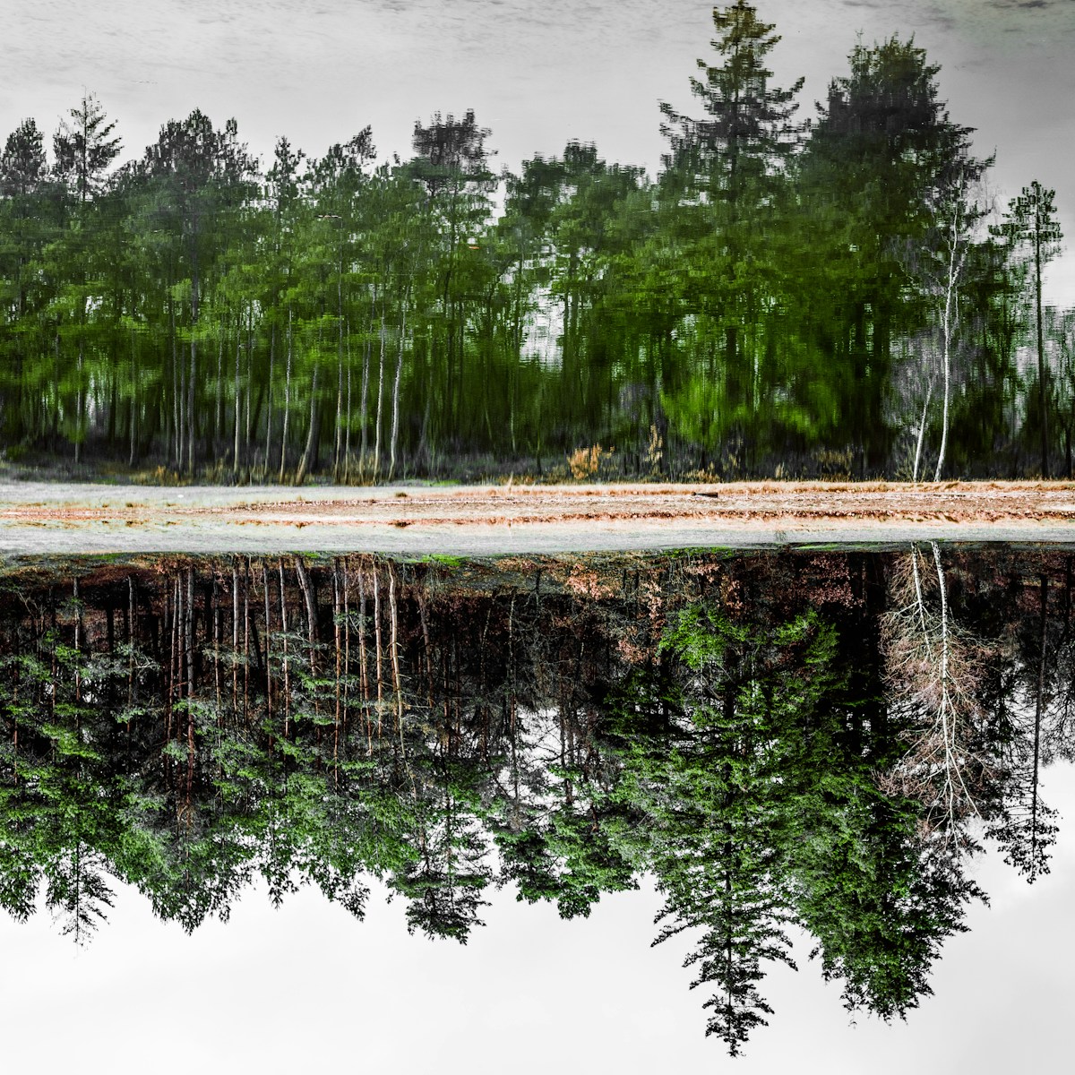 recreatiegebied zandenplas