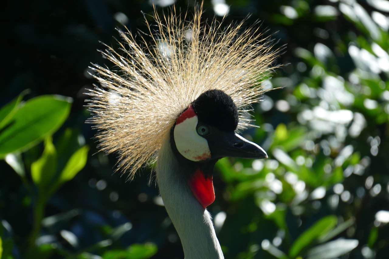 Vogelpark Ruinen