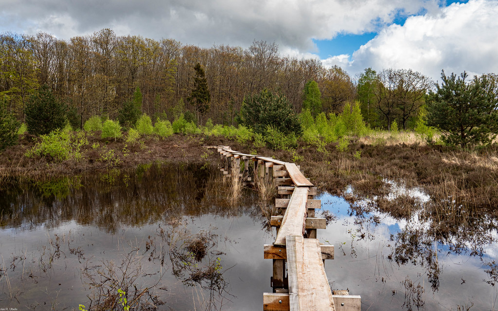 belevenisboerderij schieveen