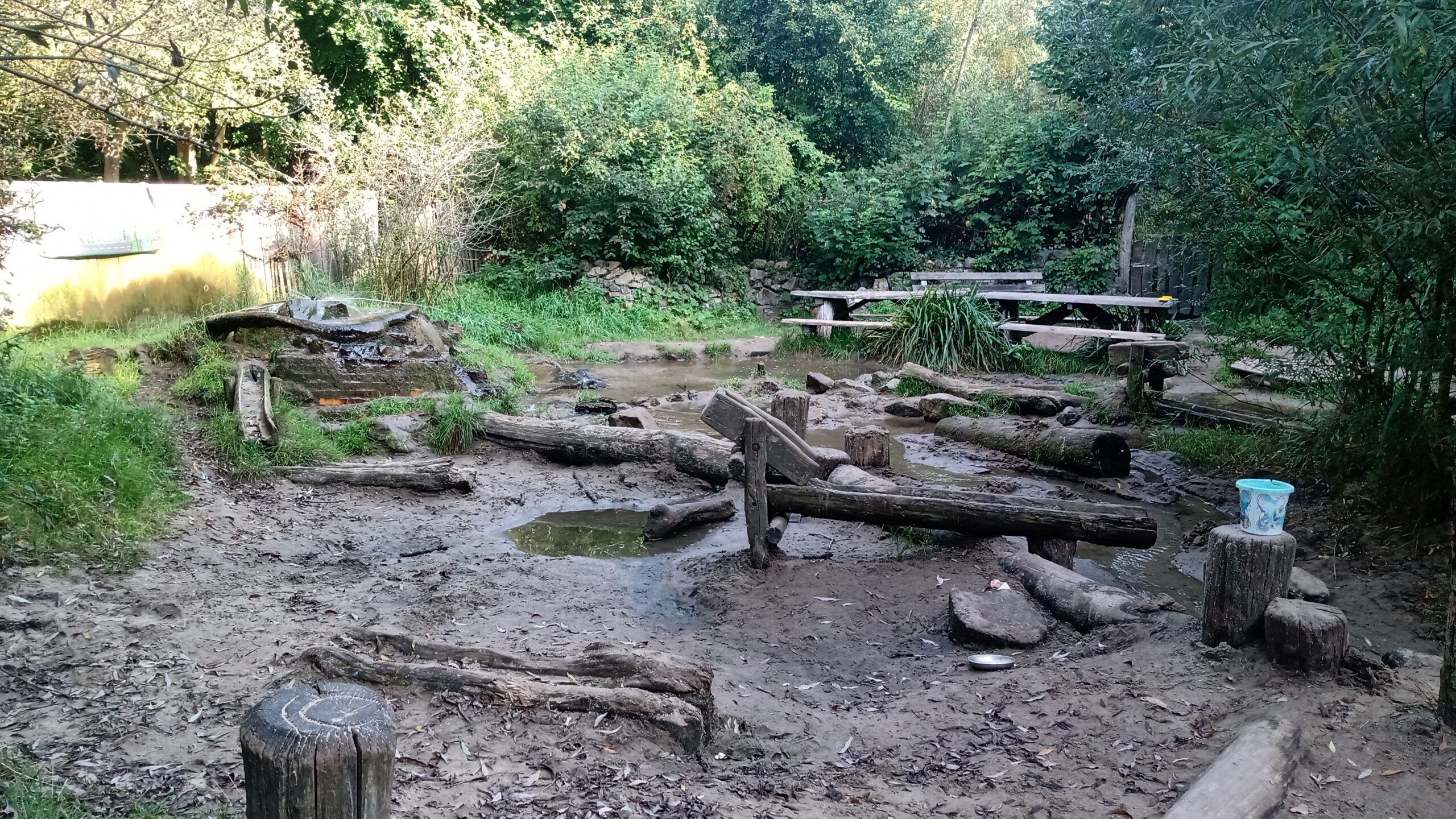 belevenissenbos lelystad scaled