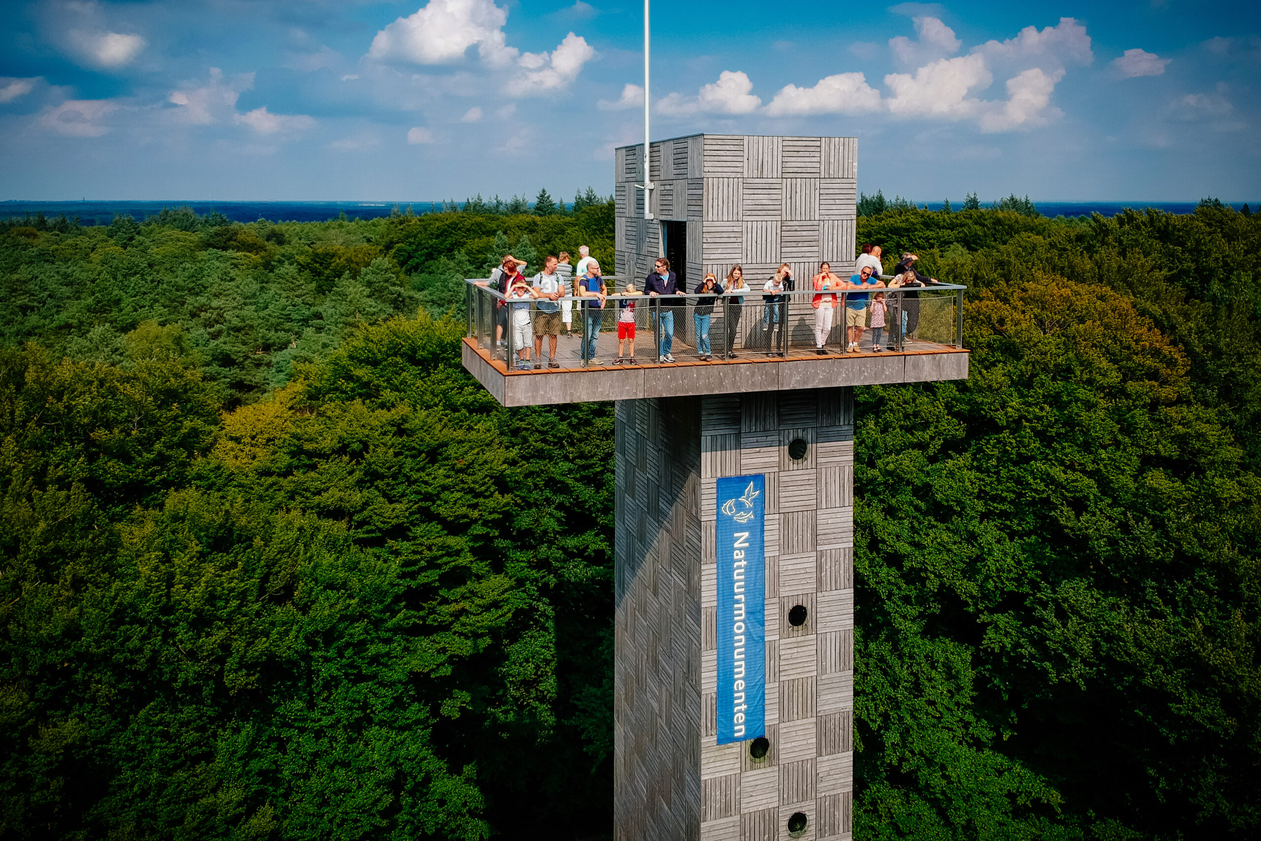 de kaapse bossen scaled