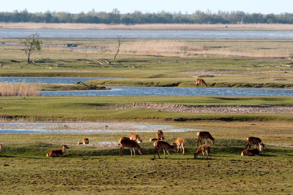 flevo landschap