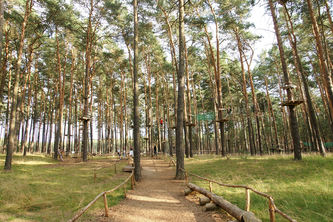 klimbos fun forest almere