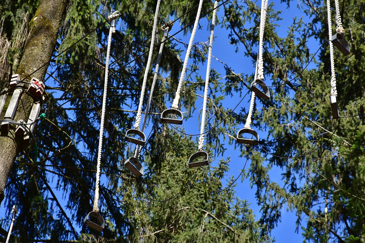 klimbos fun forest rotterdam