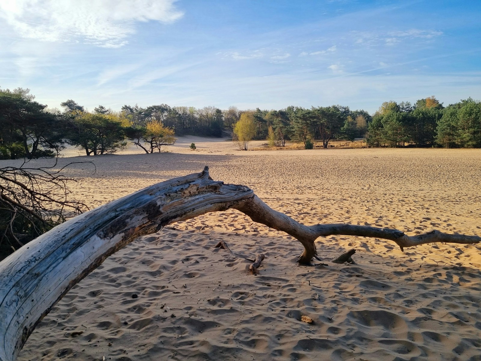 loonse en drunense duinen