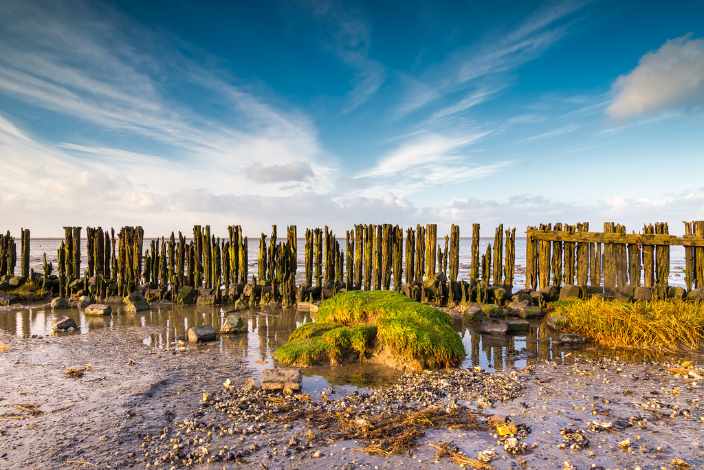 nationaal park lauwersmeer