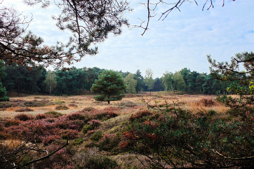 nationaal park utrechtse heuvelrug