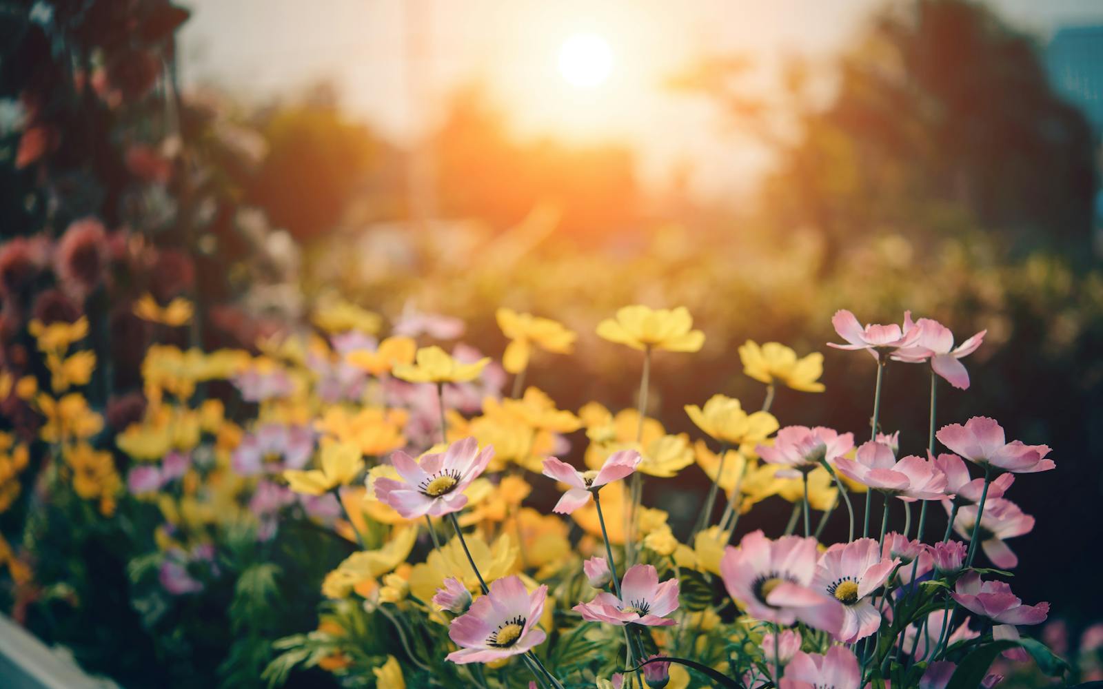 plantentuin esveld een unieke beleving voor het hele gezin 1