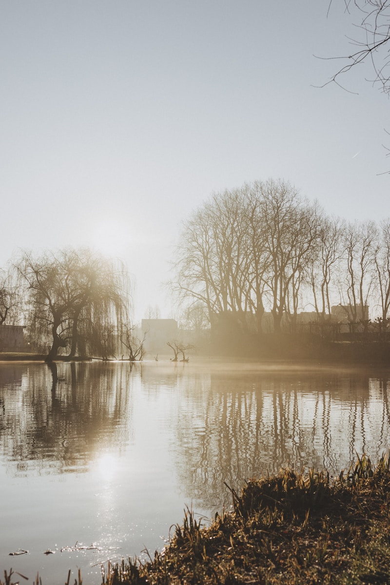 recreatieplas schoonhoven