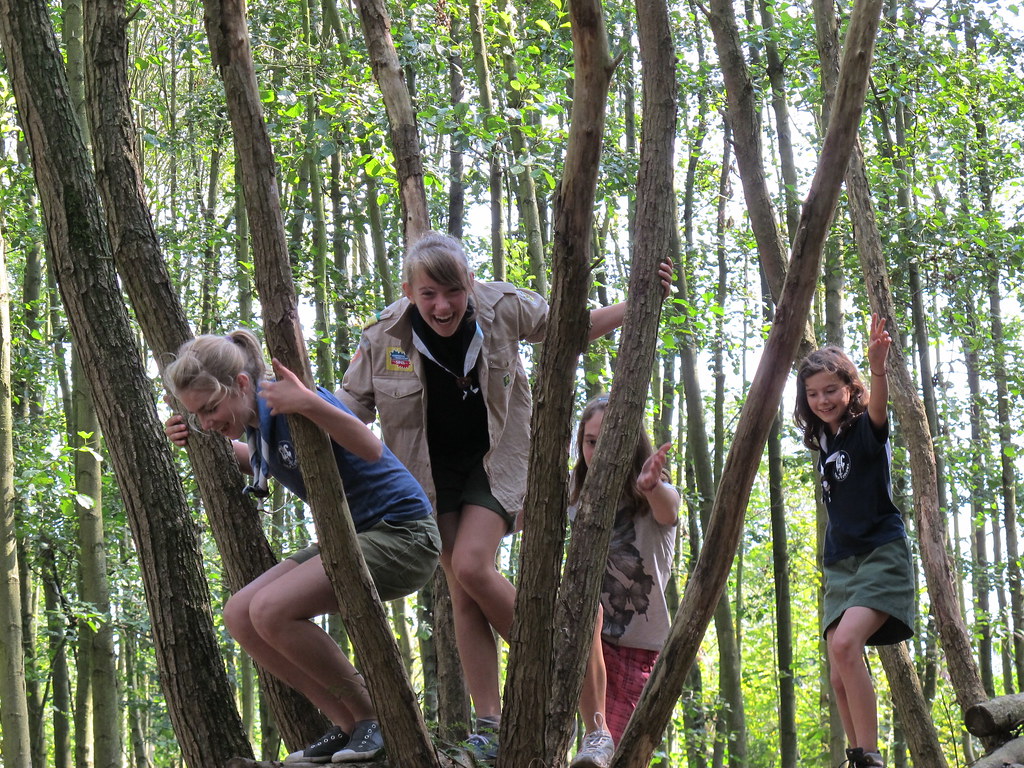 speelbos de elzen