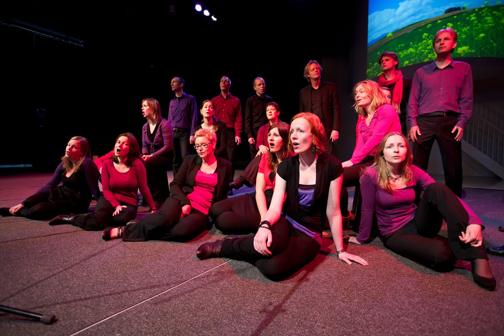 stichting cultuurhuis krimpen aan de lek