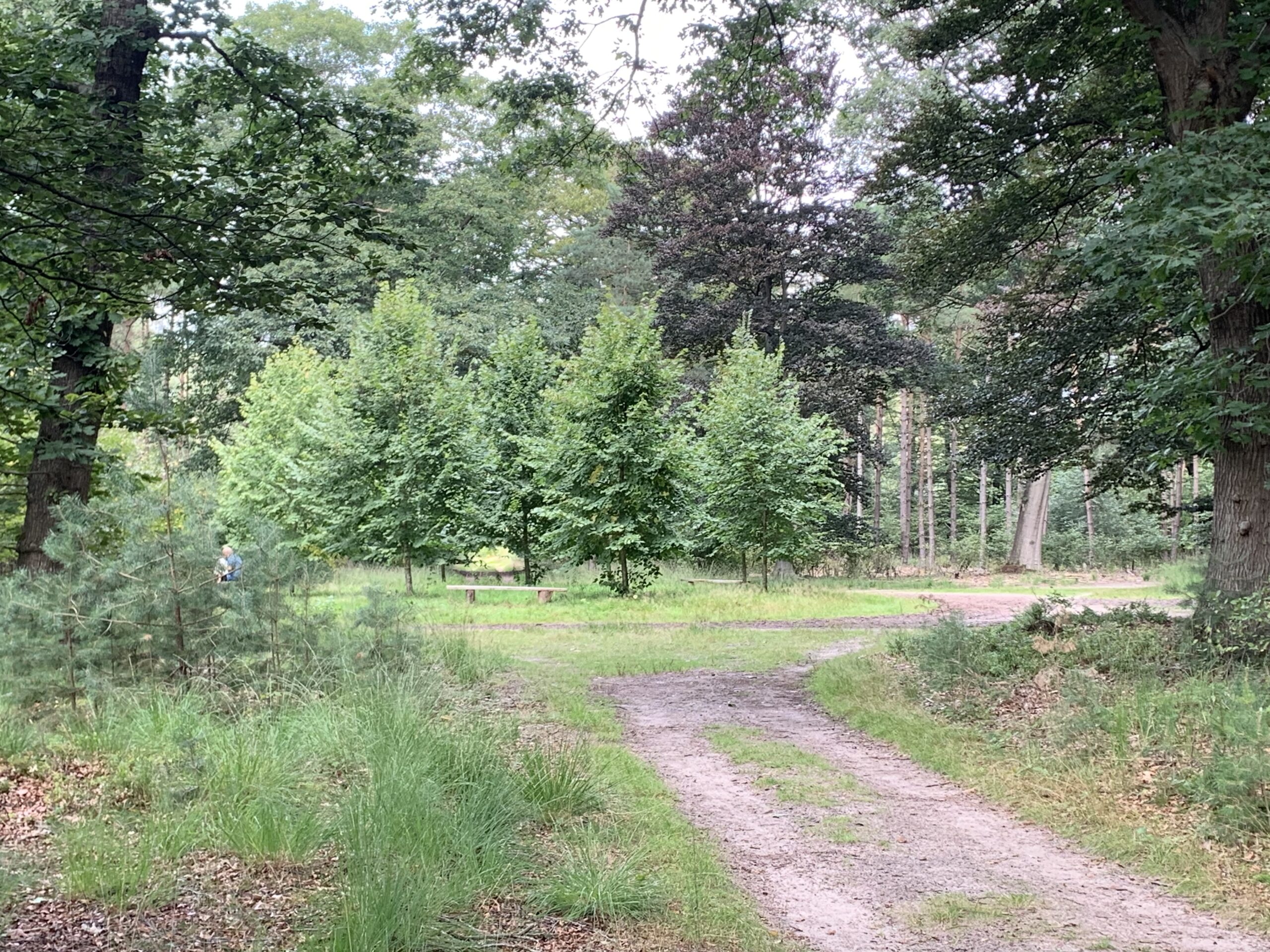 Speelbos De Zevensprong