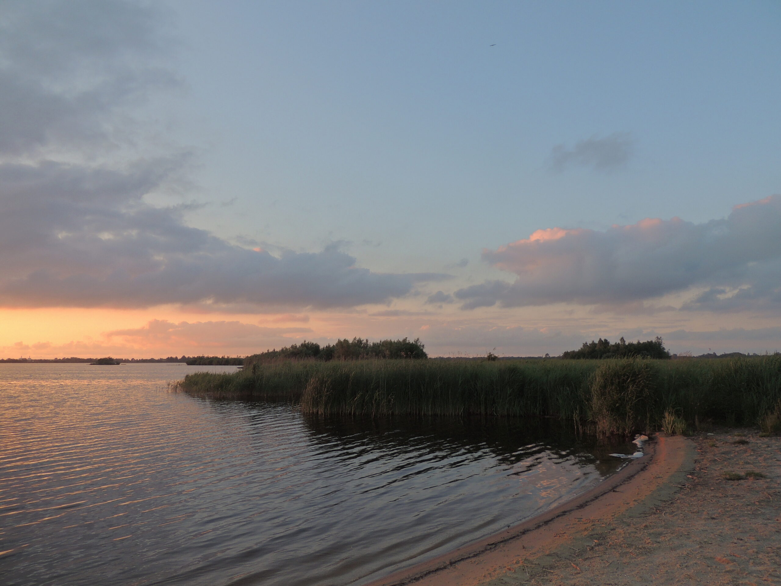 Strand De Leijen