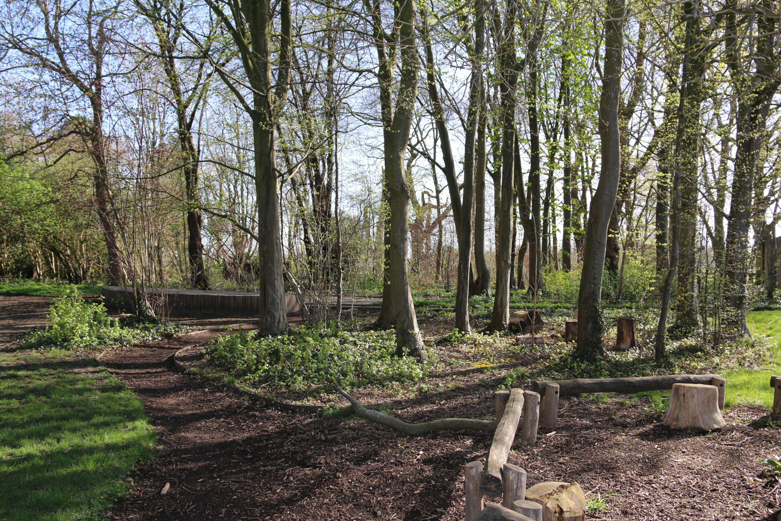 Speelbos In het hol van de leeuw