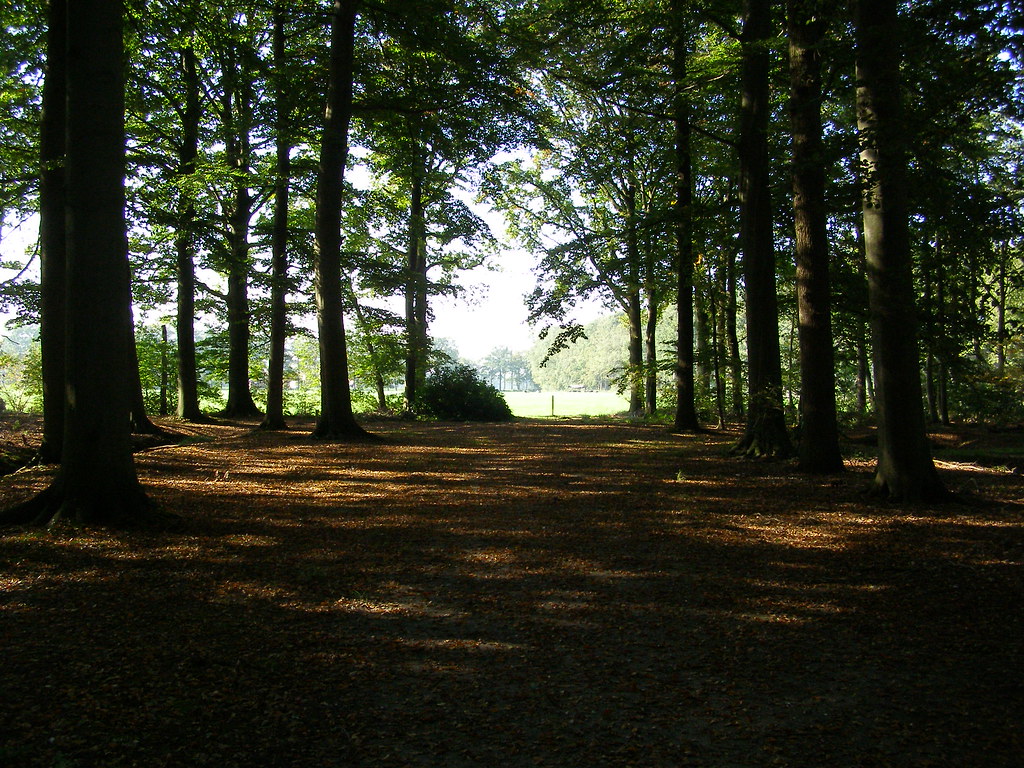 Fotospeurtocht Stoutenburg