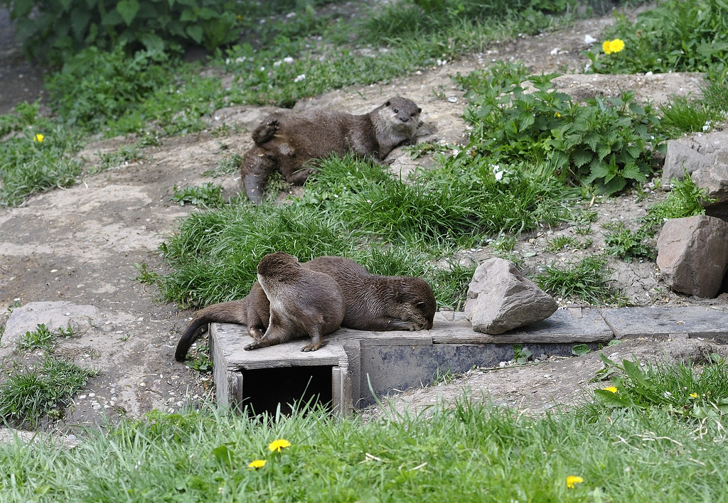 Natuurpark Lelystad